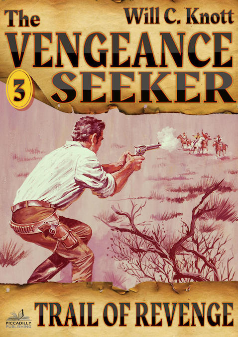 Vengeance Seeker 3